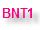 bnt